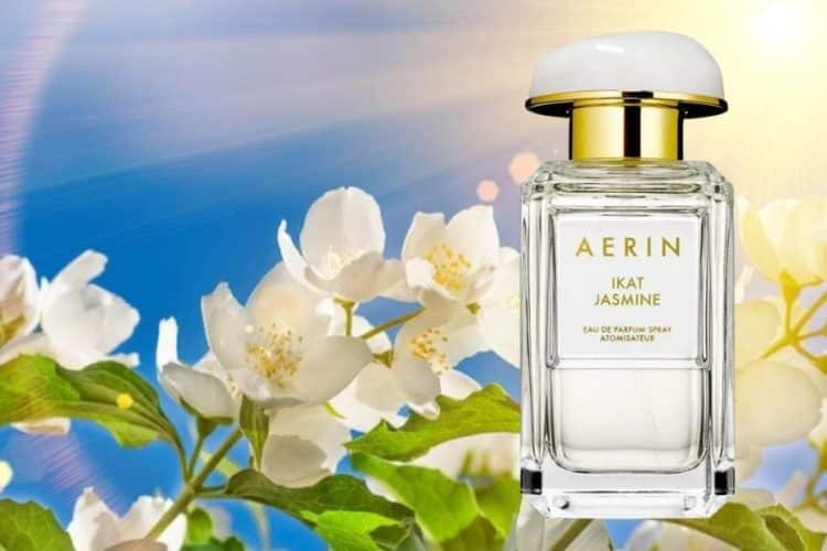 Best Jasmine Perfume