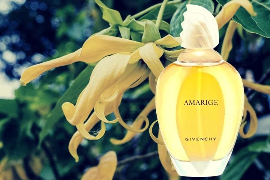 Amarige By Givenchy