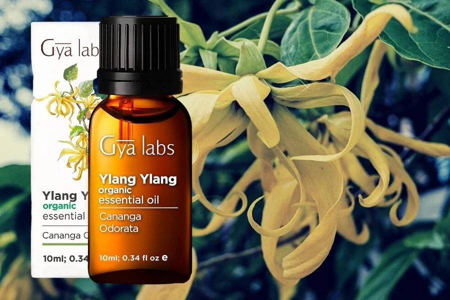 Gya Labs Organic Ylang Ylang Essential Oil